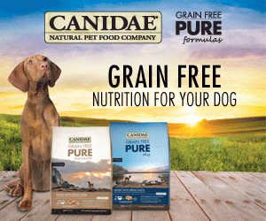 CANIDAE_Dog-Animated-no-offer